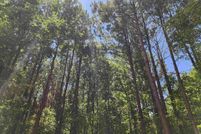 Farm Property for sale in Morris County, Texas