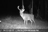 Farm Property for sale in Carroll County, Maryland