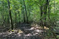 Undeveloped Land for sale in Caroline County, Maryland