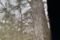 Property for sale in Jefferson County, Arkansas