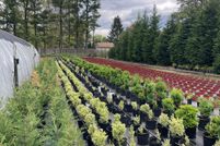Farm Property for sale in Camden County, New Jersey