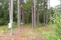 Timberland Property for sale in Lexington County, South Carolina