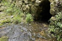 Farm Property for sale in Douglas County, Missouri