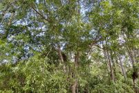 Recreational Property for sale in Palm Beach County, Florida