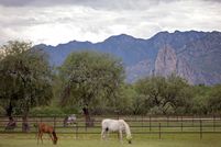 Residential Property for sale in Santa Cruz County, Arizona
