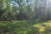 Undeveloped Land for sale in Kalkaska County, Michigan