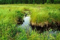 Farm Property for sale in Matanuska-Susitna Borough, Alaska