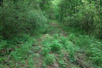 Undeveloped Land for sale in Giles County, Tennessee
