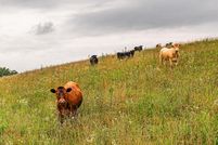 Farm Property for sale in Anderson County, Kentucky