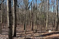 Undeveloped Land for sale in Union County, Georgia