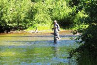 Property for sale in Matanuska-Susitna Borough, Alaska
