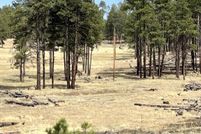 Farm Property for sale in Greenlee County, Arizona