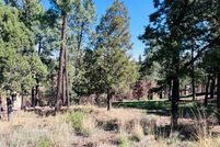 Timberland Property for sale in Lincoln County, New Mexico