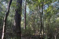 Property for sale in Greene County, Mississippi