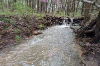 Residential Property for sale in Webster County, Missouri