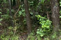 Farm Property for sale in Newton County, Georgia