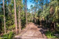 Timberland Property for sale in Flagler County, Florida