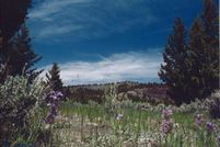 Recreational Property for sale in Silver Bow County, Montana