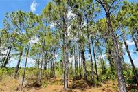 Farm Property for sale in Okeechobee County, Florida