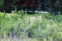 Recreational Property for sale in Blount County, Alabama