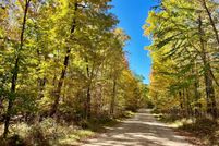 Undeveloped Land for sale in Forest County, Wisconsin