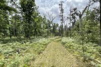 Ranch Property for sale in Lake County, Michigan