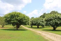 Ranch Property for sale in Lauderdale County, Tennessee