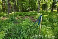 Recreational Property for sale in Dickinson County, Michigan