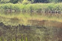 Undeveloped Land for sale in Marinette County, Wisconsin