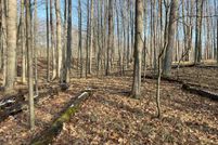 Farm Property for sale in Mecosta County, Michigan