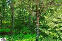 Recreational Property for sale in Arenac County, Michigan
