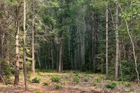 Undeveloped Land for sale in Lincoln County, Wisconsin
