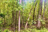 Ranch Property for sale in Dawson County, Georgia
