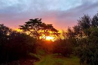 Farm Property for sale in Hawaii County, Hawaii