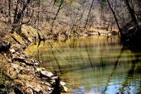 Property for sale in Durham County, North Carolina