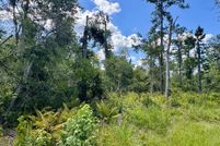 Recreational Property for sale in Hamilton County, Florida