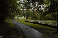 Farm Property for sale in Madison County, Tennessee