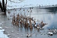 Farm Property for sale in Hampshire County, West Virginia