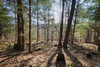Undeveloped Land for sale in Addison County, Vermont