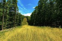 Undeveloped Land for sale in Newton County, Arkansas
