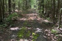Undeveloped Land for sale in Talladega County, Alabama