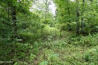 Property for sale in Decatur County, Tennessee