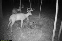 Property for sale in Scioto County, Ohio