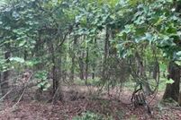 Undeveloped Land for sale in Garland County, Arkansas