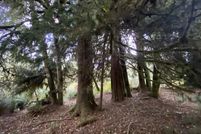 Waterfront Property for sale in Clatsop County, Oregon