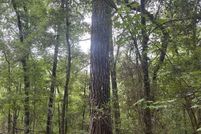 Property for sale in Dorchester County, South Carolina