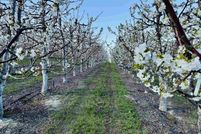 Property for sale in Benton County, Washington