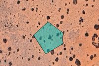 Property for sale in El Paso County, Texas