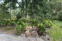 Undeveloped Land for sale in Levy County, Florida