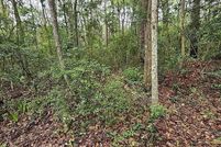 Undeveloped Land for sale in Camden County, Georgia